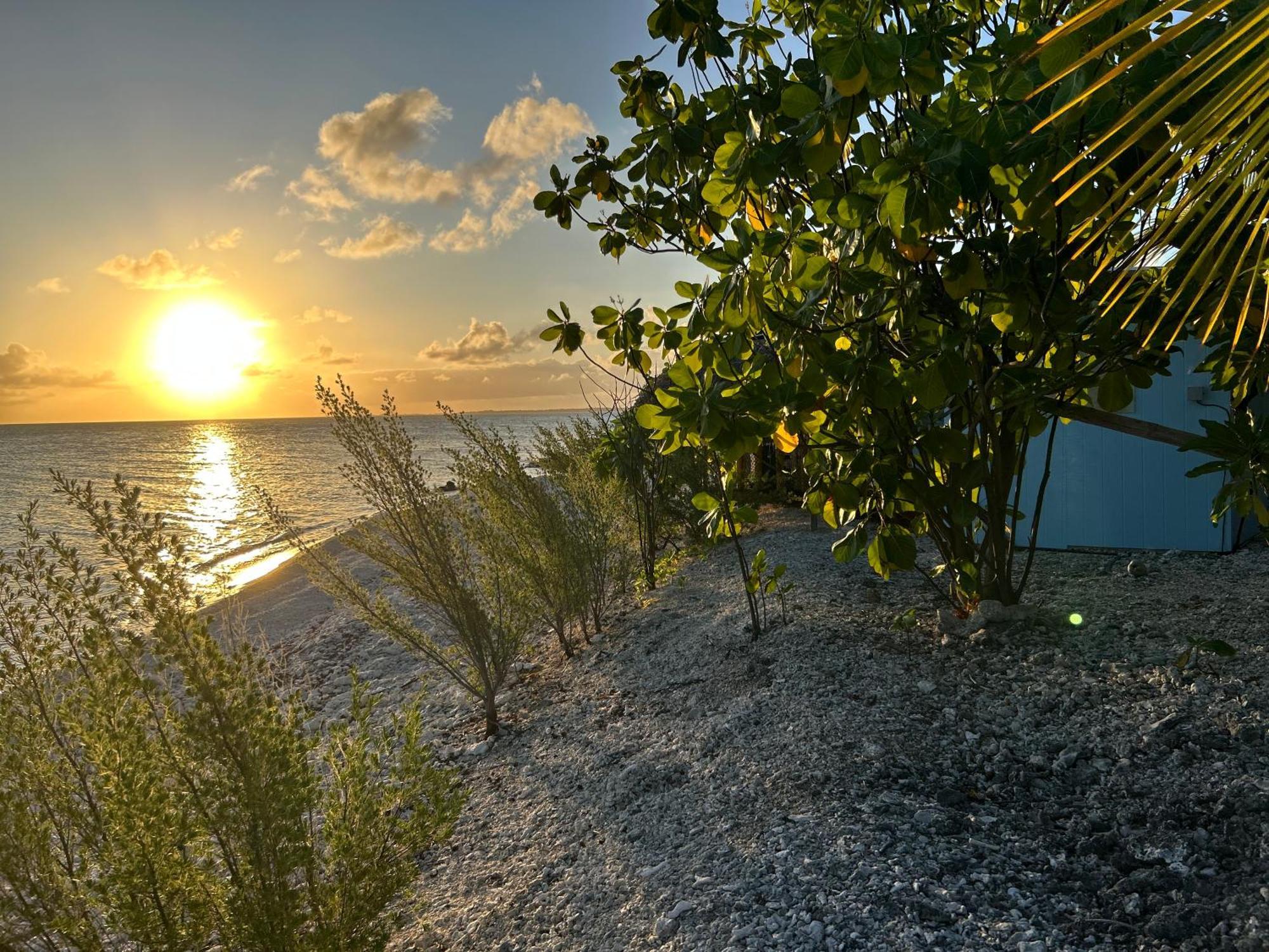 Rangiroa Bliss Ξενοδοχείο Tiputa Εξωτερικό φωτογραφία