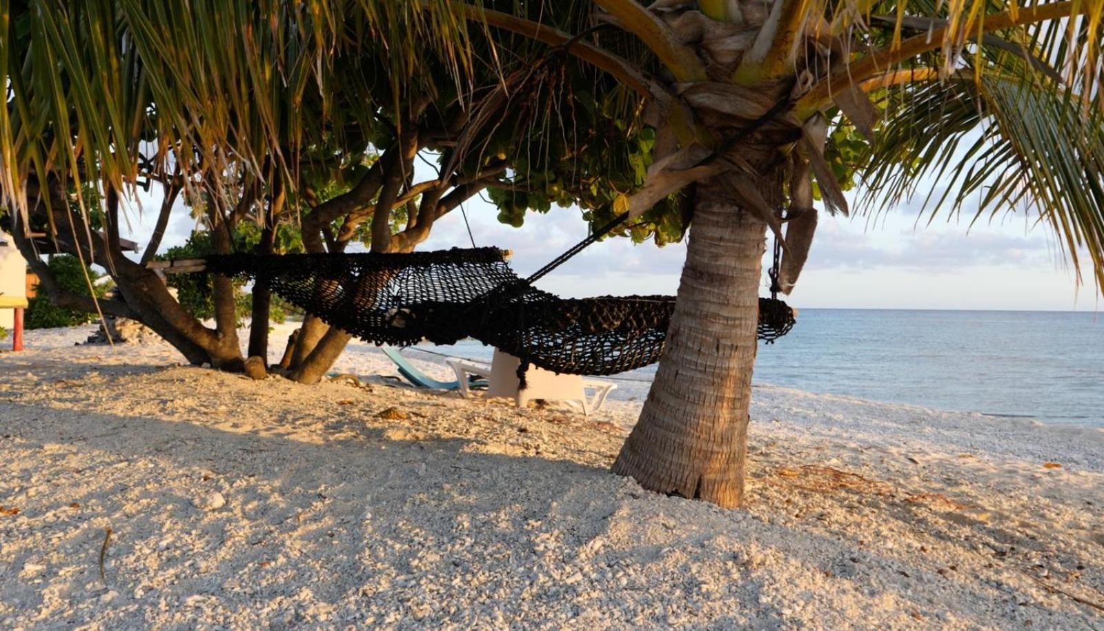 Rangiroa Bliss Ξενοδοχείο Tiputa Εξωτερικό φωτογραφία