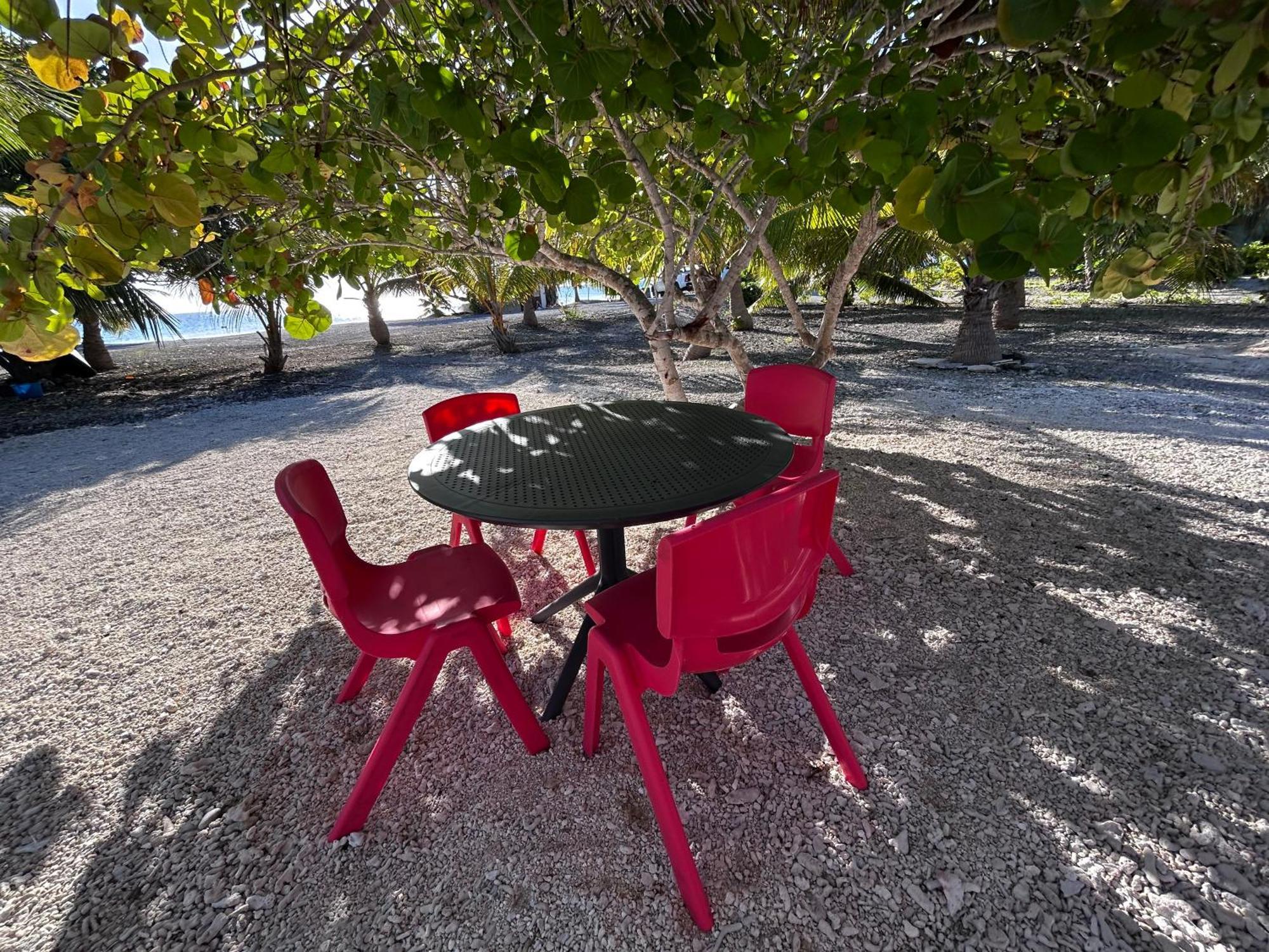 Rangiroa Bliss Ξενοδοχείο Tiputa Εξωτερικό φωτογραφία